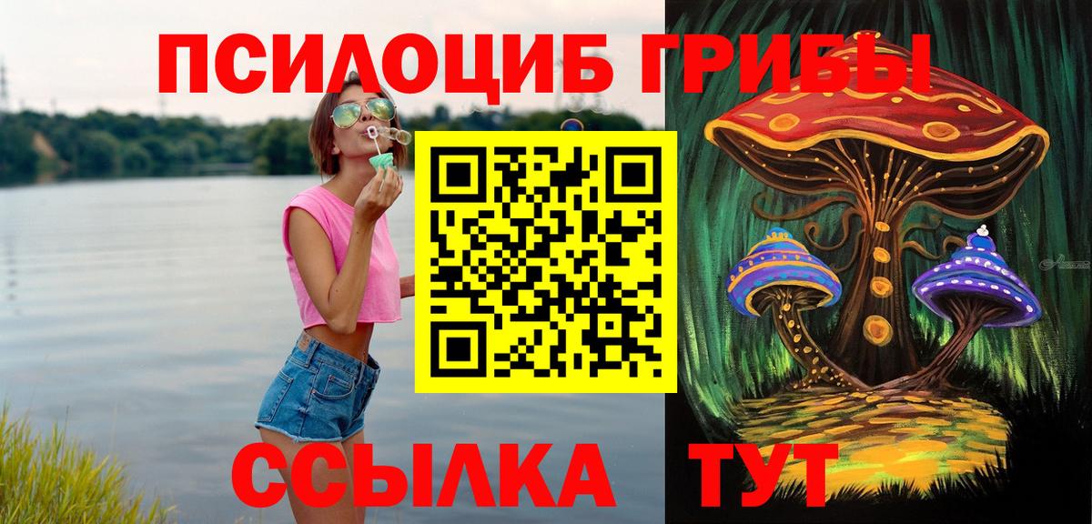 Галлюциногенные грибы мицелий  Вход с VPN  Малоярославец 